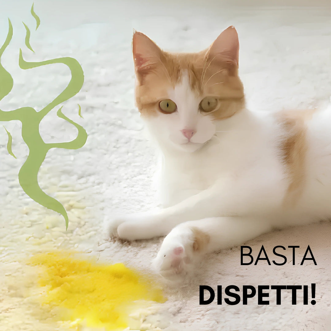 Diffusore di feromoni per gatti